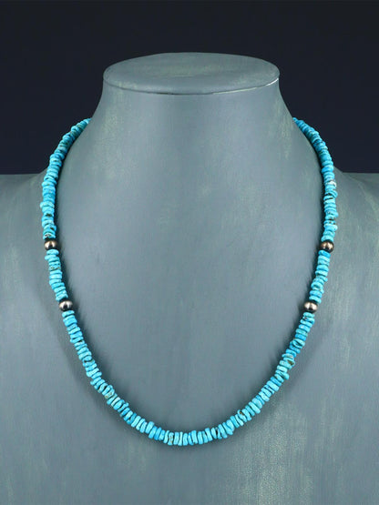 19" Native American Jewelry Single Strand Turquoise Necklace