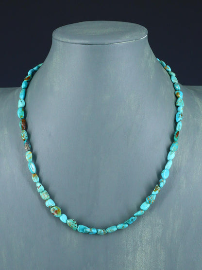 Native American Jewelry Turquoise Single Strand Necklace